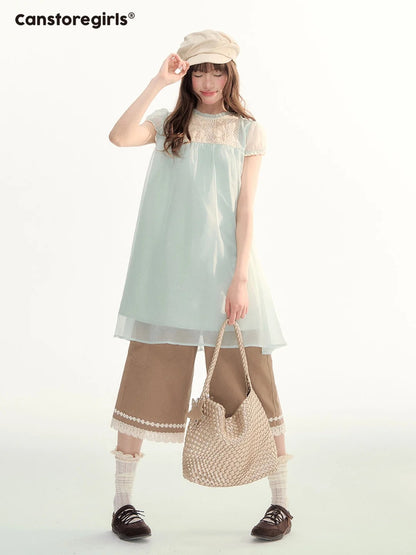 Sheer Lace Trim Puff Sleeve Babydoll Dress LL2026103