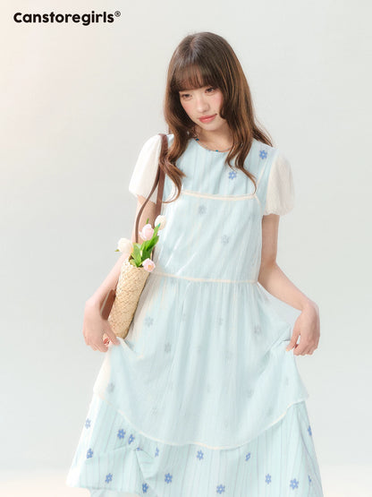 "Soft Bloom Chronicle" Blue Floral Dress & Apricot Cami Set