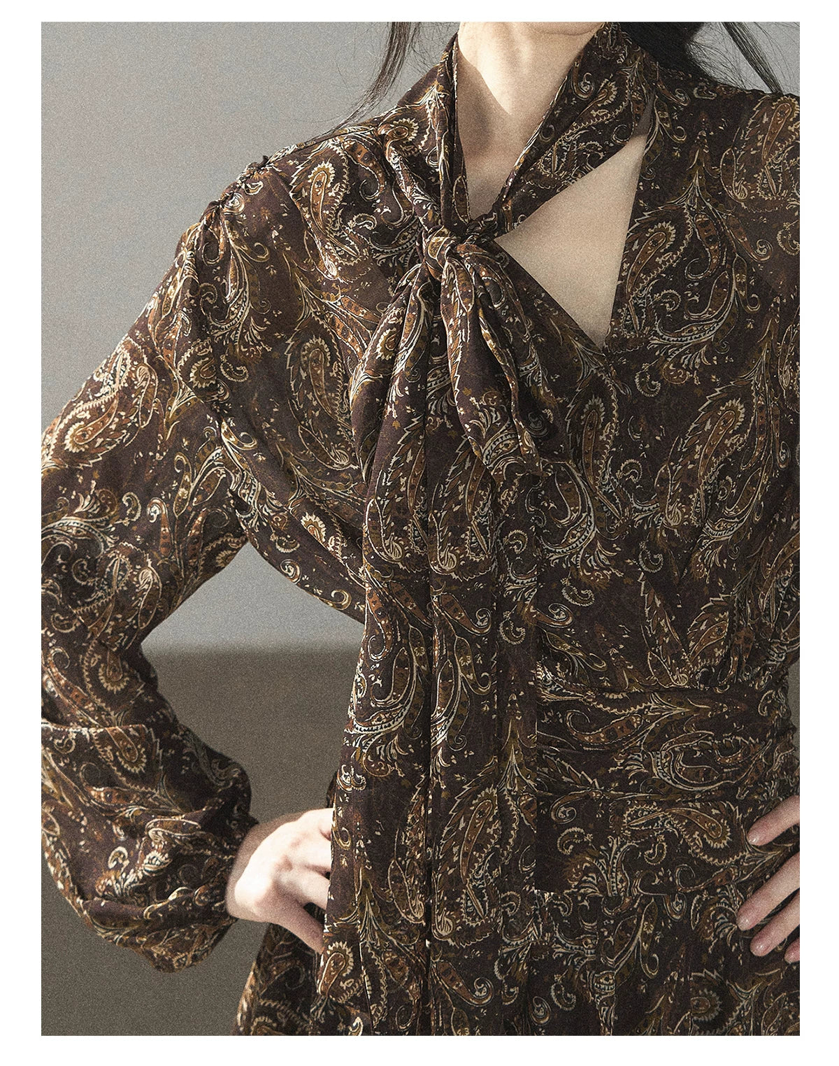 "Wait for a Tree of Blossoms" Cocoa Brown French Long-Sleeve Chiffon Dress (+ Camisole)
