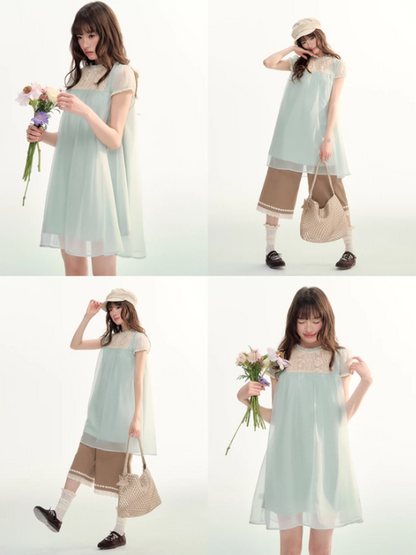 Sheer Lace Trim Puff Sleeve Babydoll Dress LL2026103