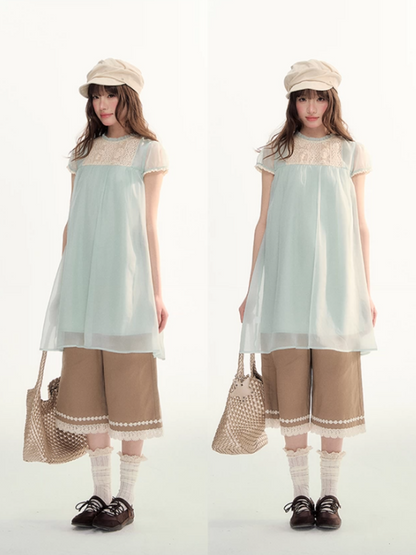 Sheer Lace Trim Puff Sleeve Babydoll Dress LL2026103