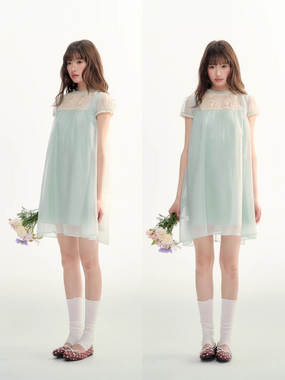 Sheer Lace Trim Puff Sleeve Babydoll Dress LL2026103